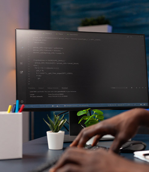 Custom website development company in Delhi