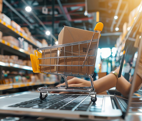 E-commerce Web Development in Delhi
