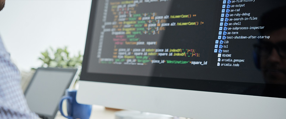 Shopify development in delhi